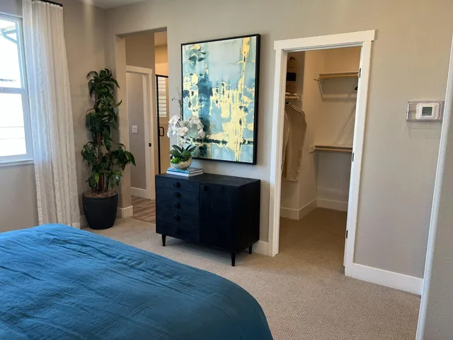 a room with a bed and a potted plant