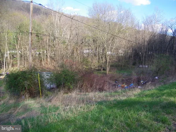 a view of a back yard