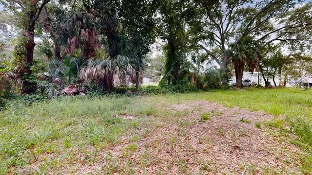 a backyard of a house with lots of green space