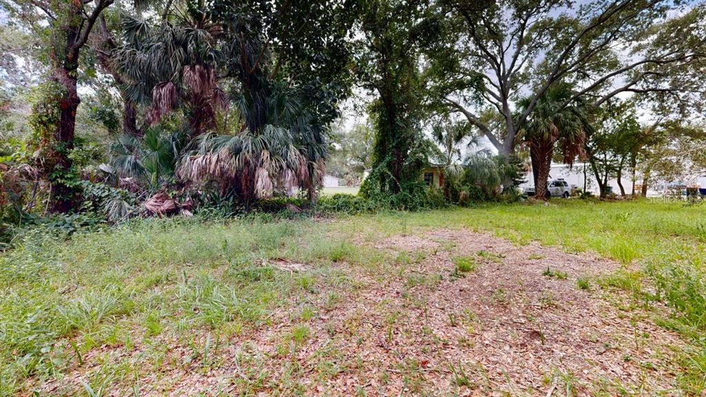 5115 West Grace Street Tampa, FL 33607 - Photo 3 of 3 a backyard of a house with lots of green space