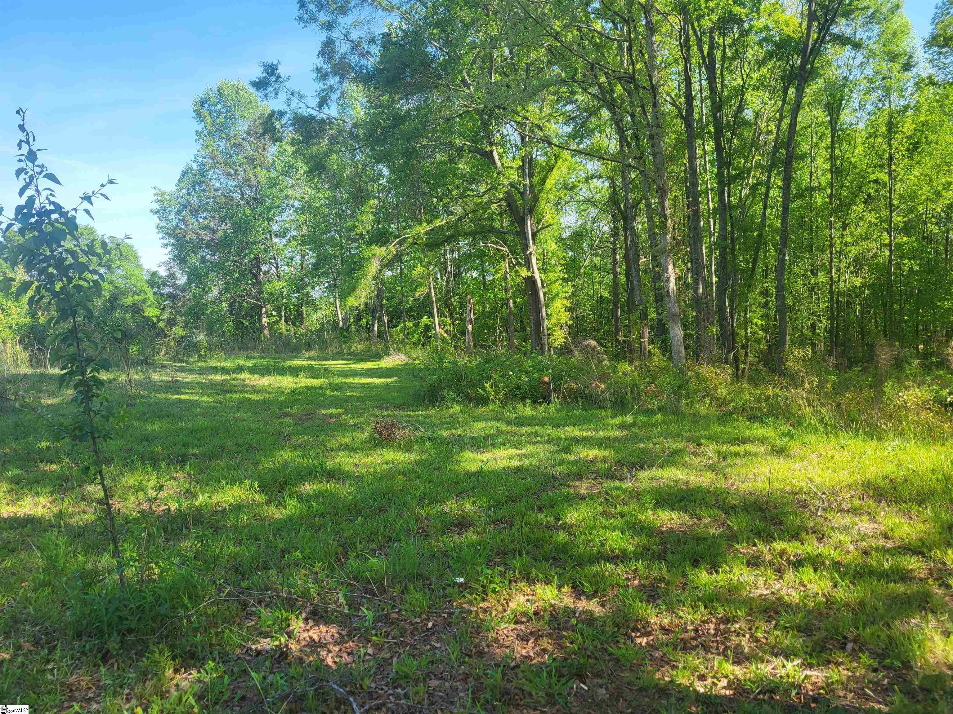 3151 Highway 14 Greer, SC 29651 - Photo 11 of 12