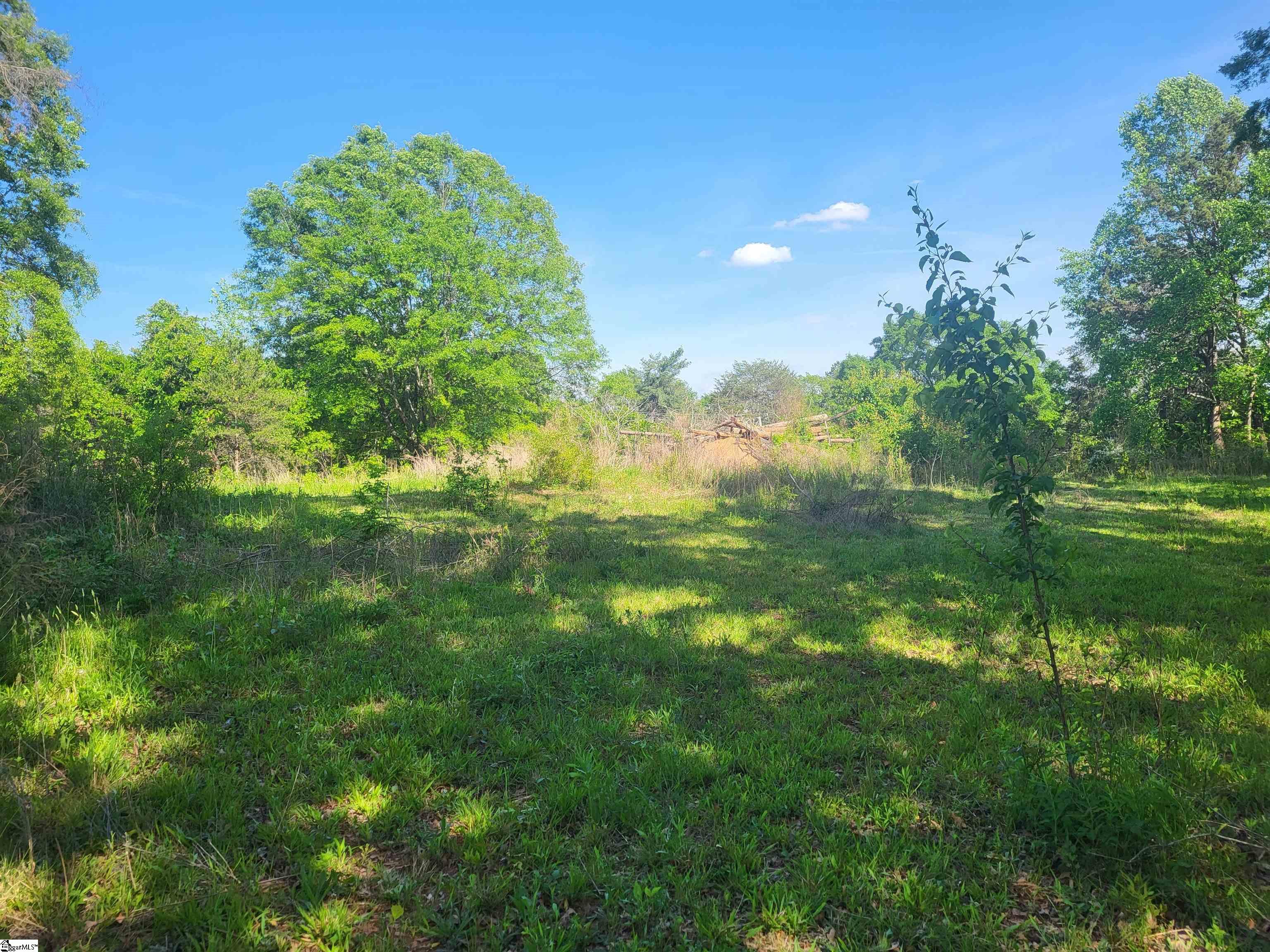 3151 Highway 14 Greer, SC 29651 - Photo 12 of 12