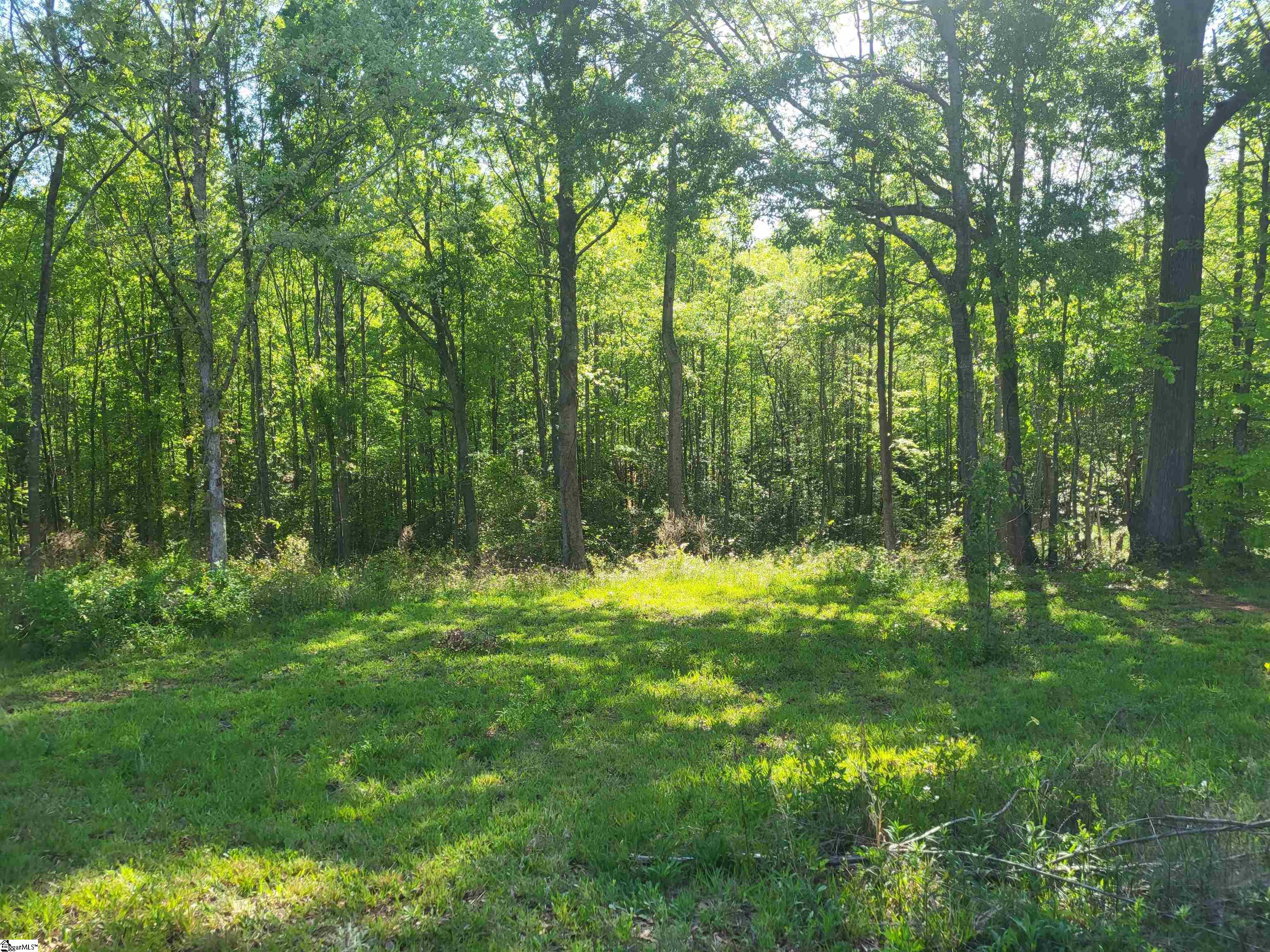 3151 Highway 14 Greer, SC 29651 - Photo 2 of 12