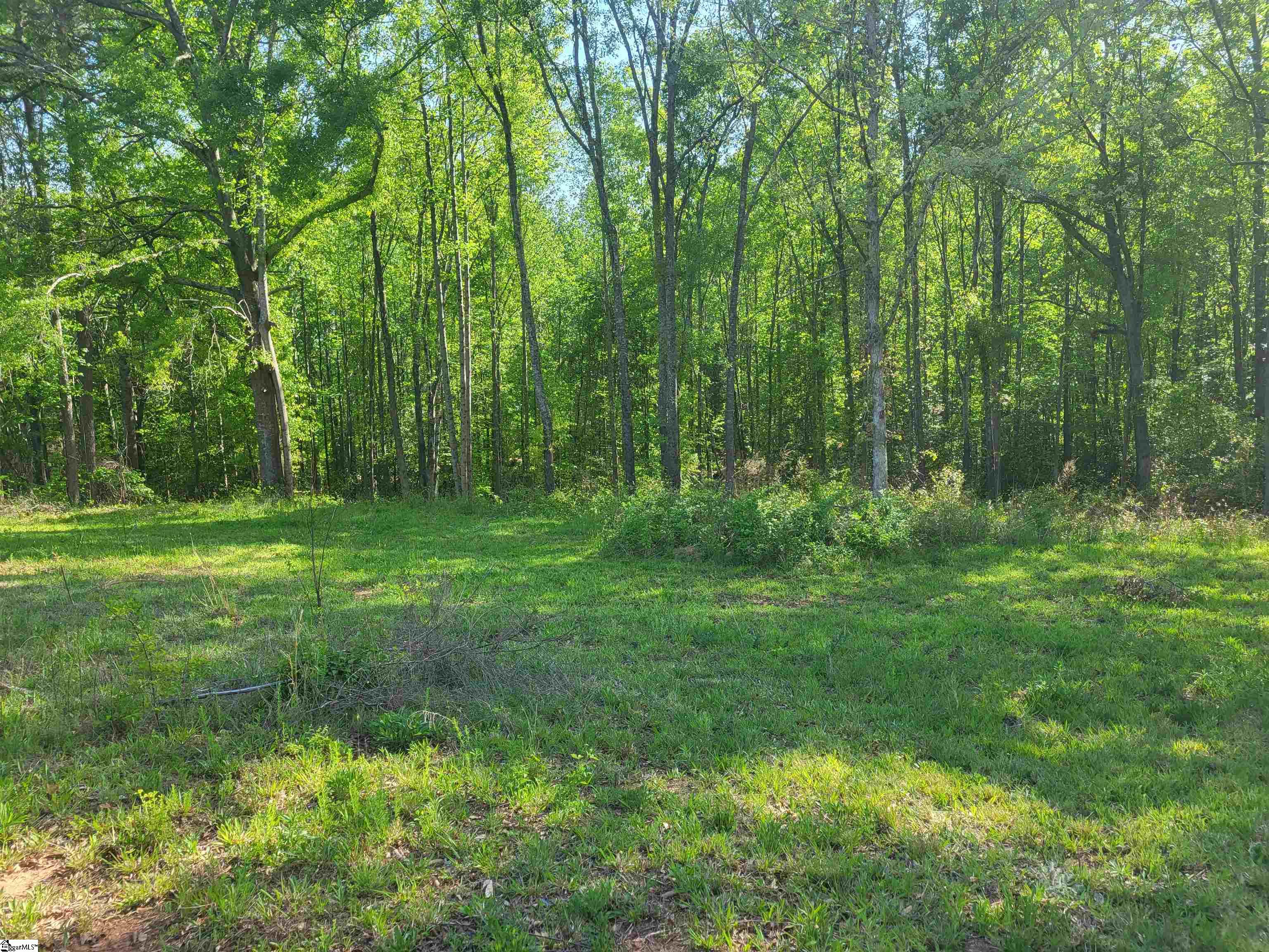 3151 Highway 14 Greer, SC 29651 - Photo 3 of 12