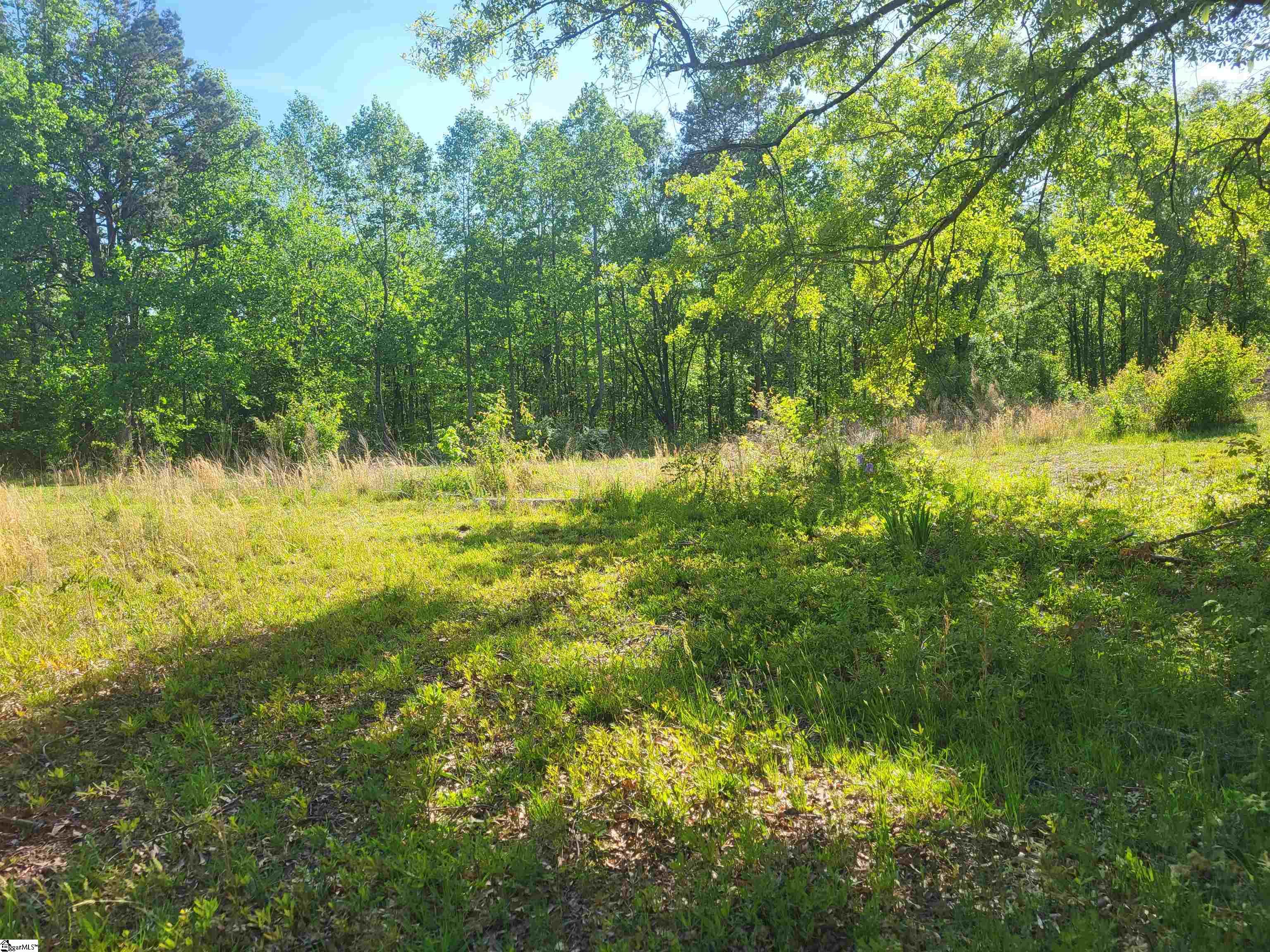 3151 Highway 14 Greer, SC 29651 - Photo 4 of 12