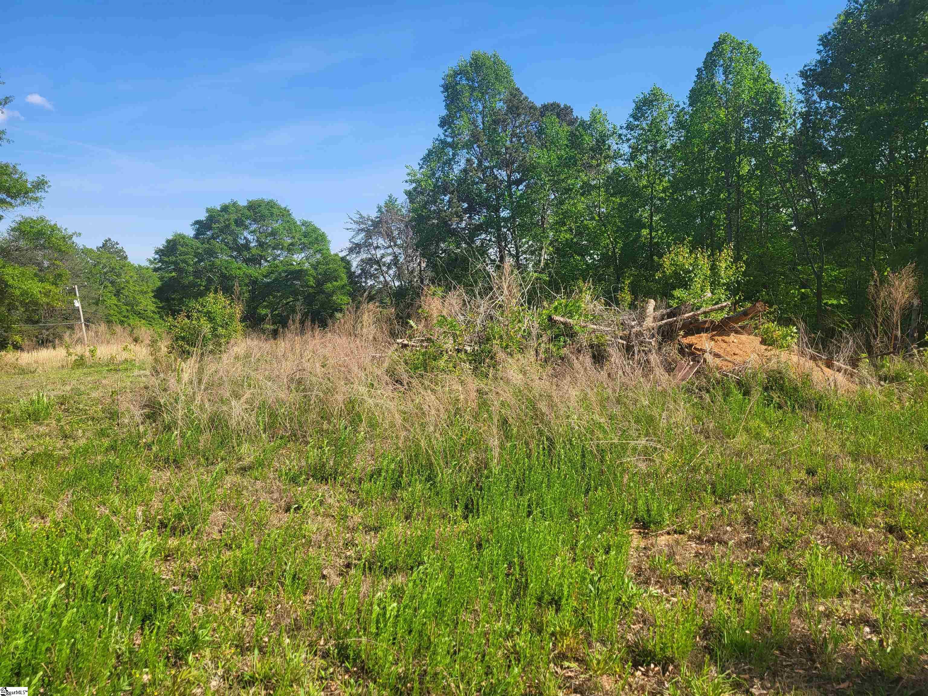 3151 Highway 14 Greer, SC 29651 - Photo 9 of 12