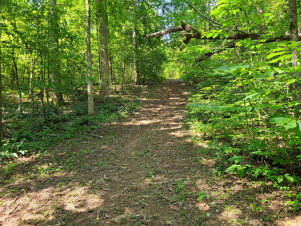 663 Tomlinson Road, Unit 3 Victoria, VA 23974 - Photo 46 of 62 Gallery Image 46
