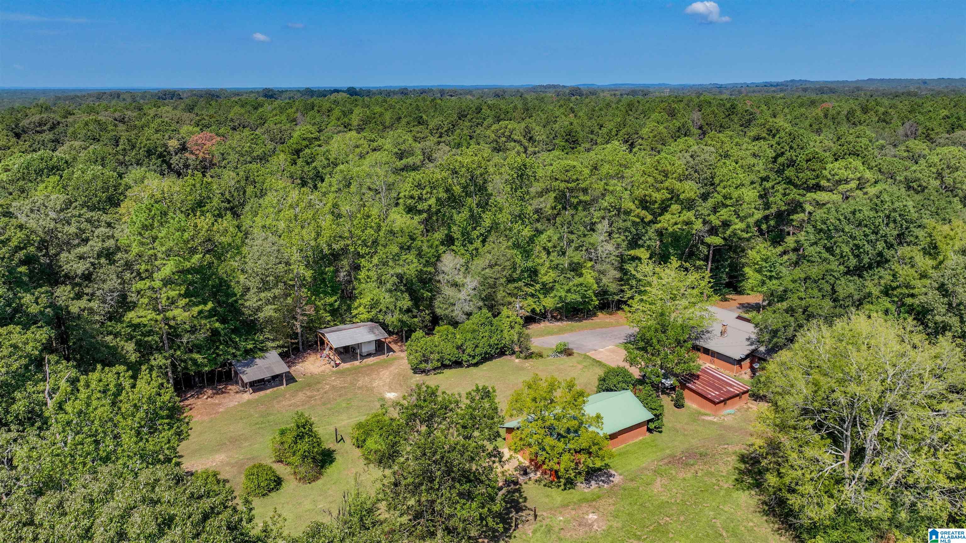 1095 Forkland Park Road Forkland, AL 36740 - Photo 38 of 45