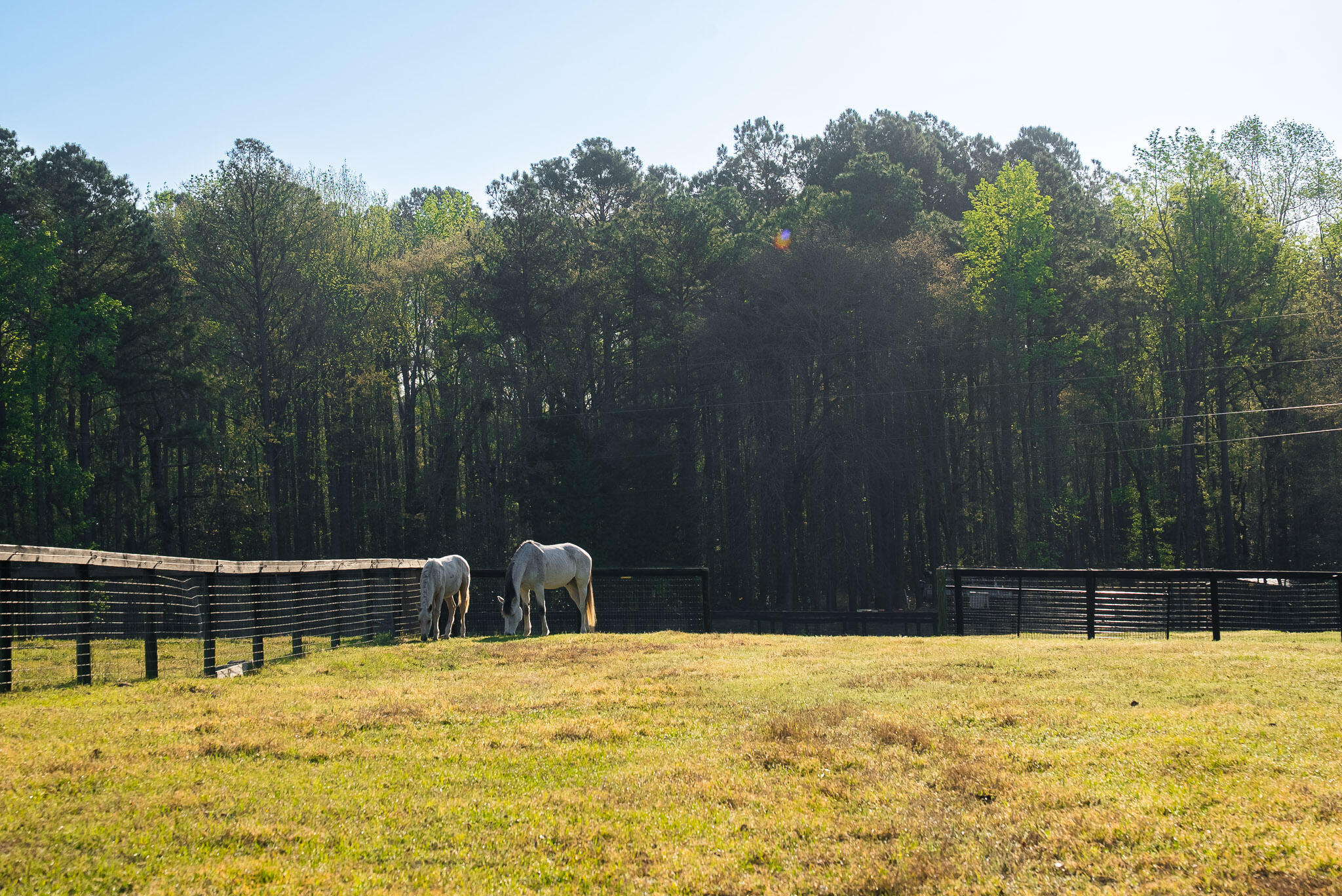 708 New Bridge Road Aiken, SC 29805 - Photo 38 of 55 Gallery Image 38