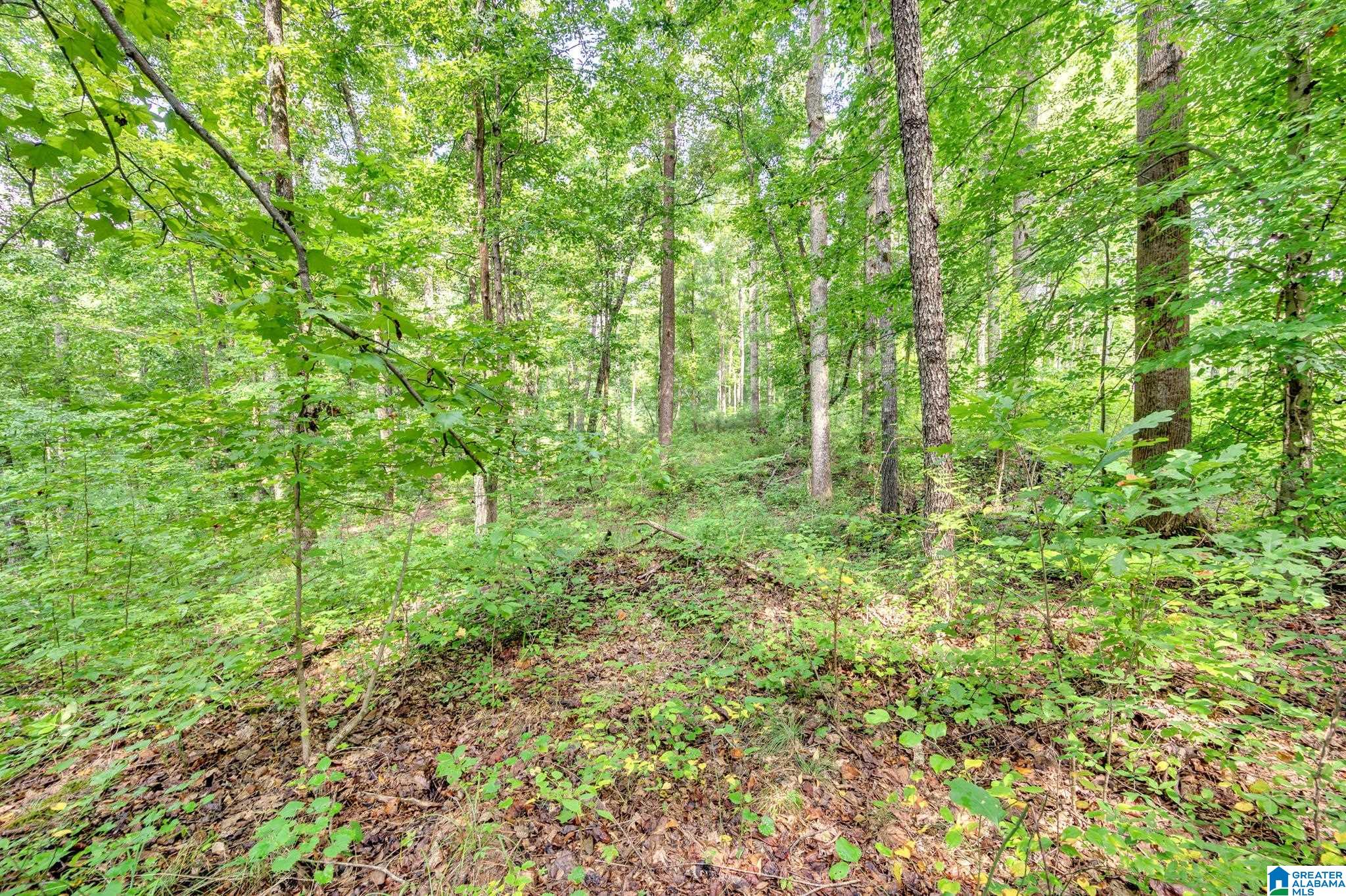 6971 Chambers Lane, Unit 1 Dora, AL 35062 - Photo 13 of 21