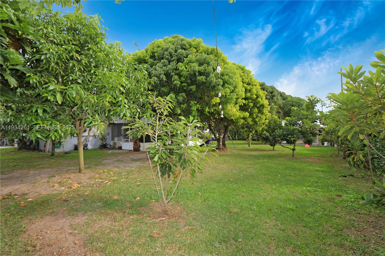 514 Northwest 21st Street Homestead, FL 33030 - Photo 26 of 45 a view of a tree in a yard