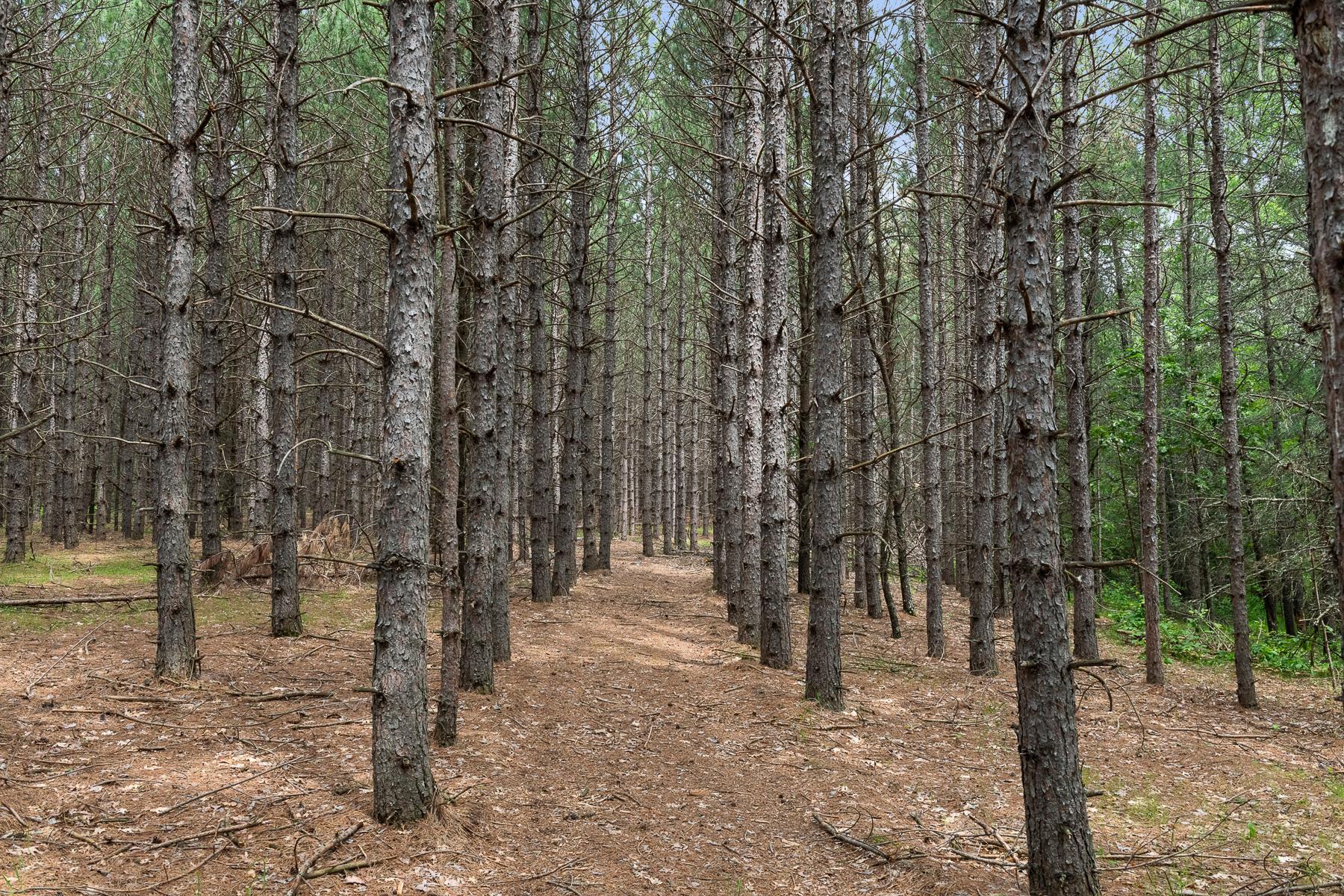 10814 Herschel River Road Brainerd, MN 56401 - Photo 79 of 102 Gallery Image 79
