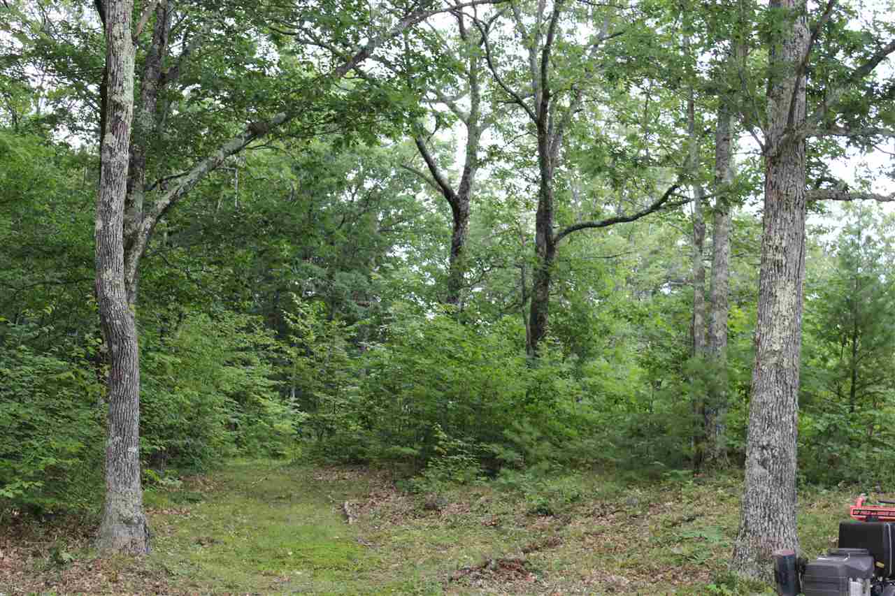 161 Ayers Road Canterbury, NH 03224 - Photo 34 of 38