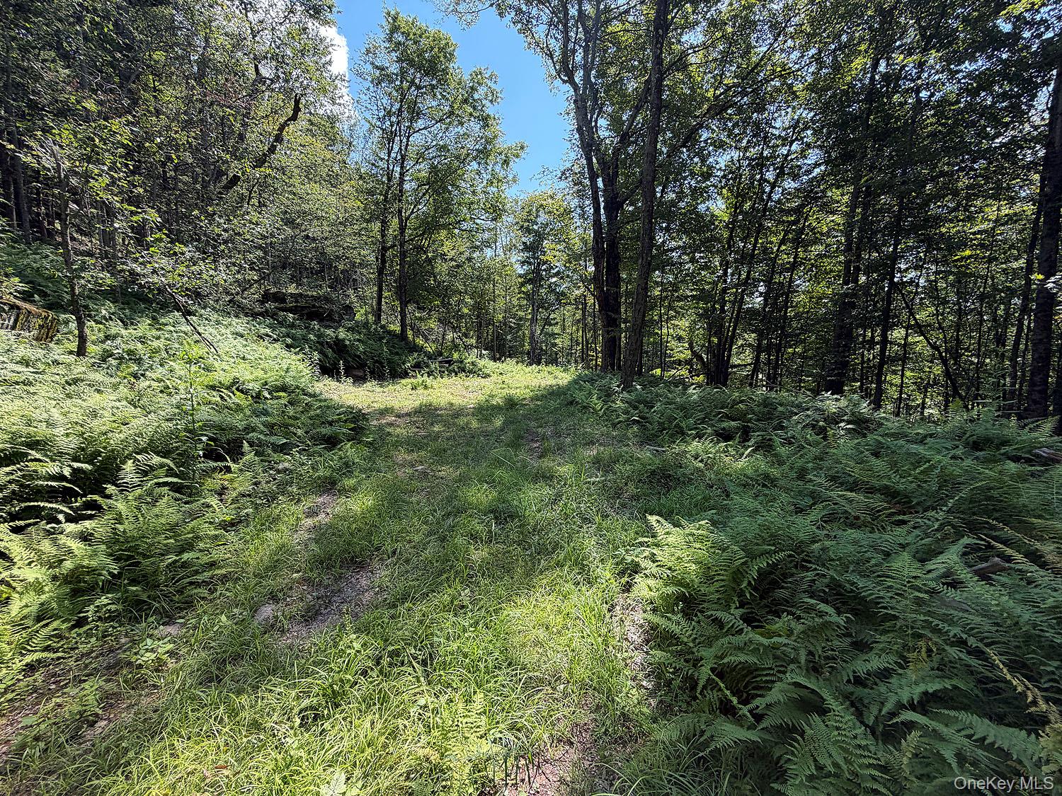 Hammer Road Hankins, NY 12736 - Photo 15 of 29 Gallery Image 15