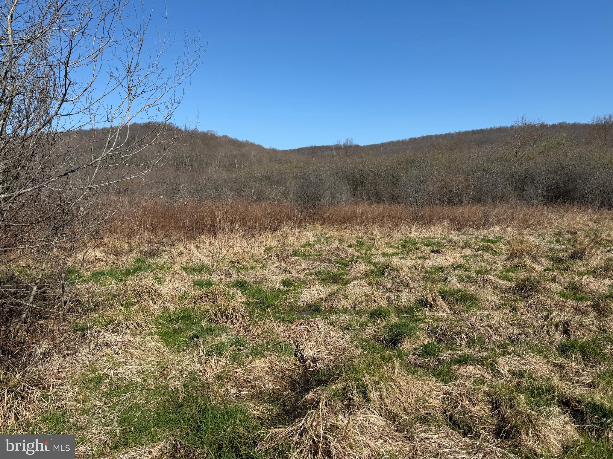 129-acres Black Hollow Road Schellsburg, PA 15559 - Photo 69 of 72