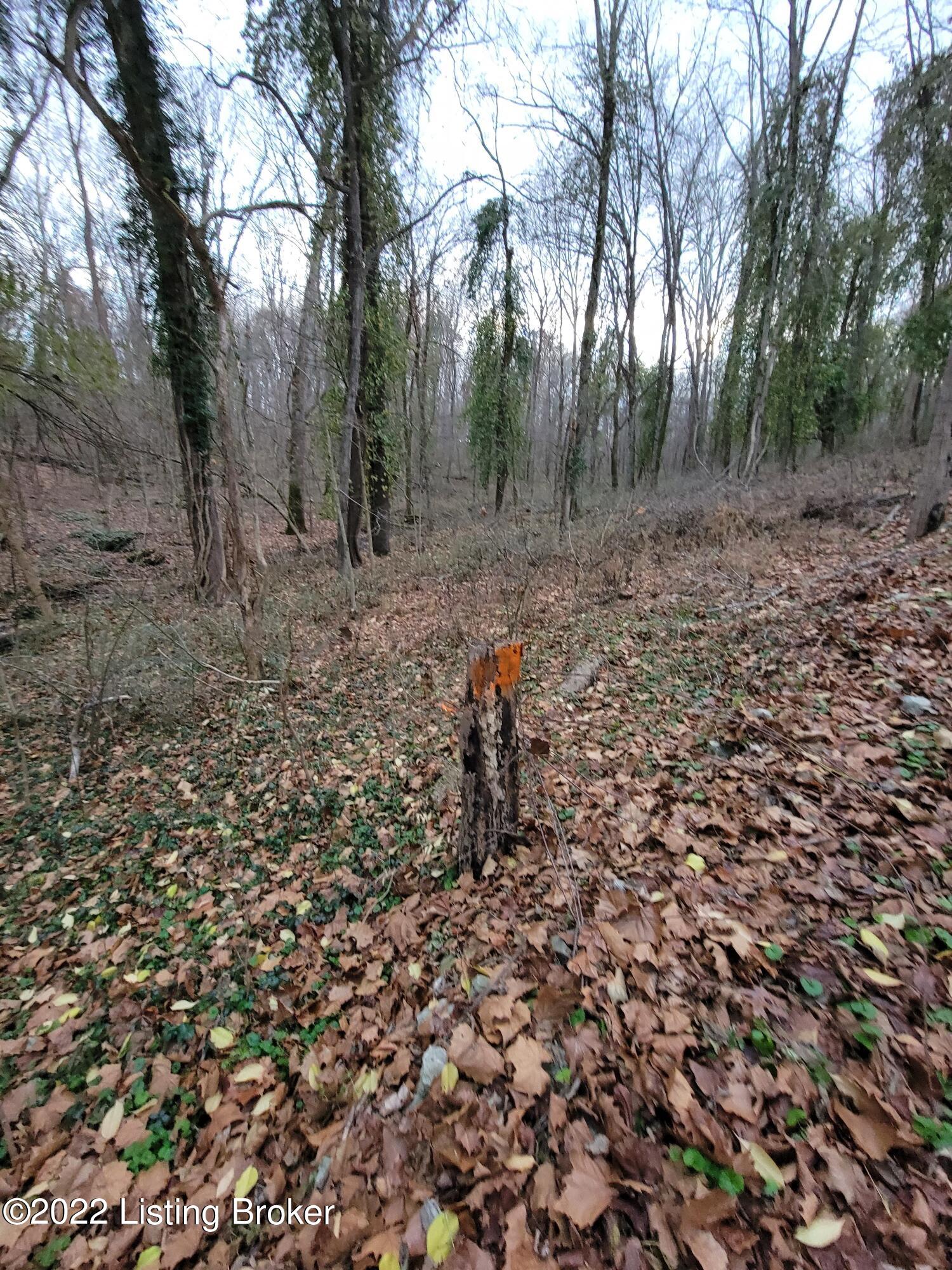 8010 Wolf Pen Branch Road Prospect, KY 40059 - Photo 29 of 34 Northeast corner approx marker. Buyer to verify