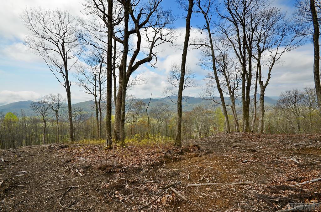 Lot 2 Fox Run Ridge Road Sapphire, NC 28774 - Photo 1 of 1 Gallery Image 1