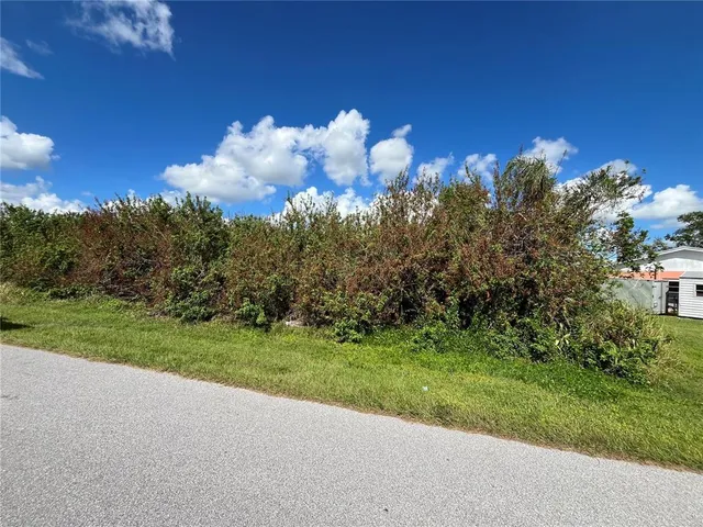 a view of a big yard with potted plants and large trees