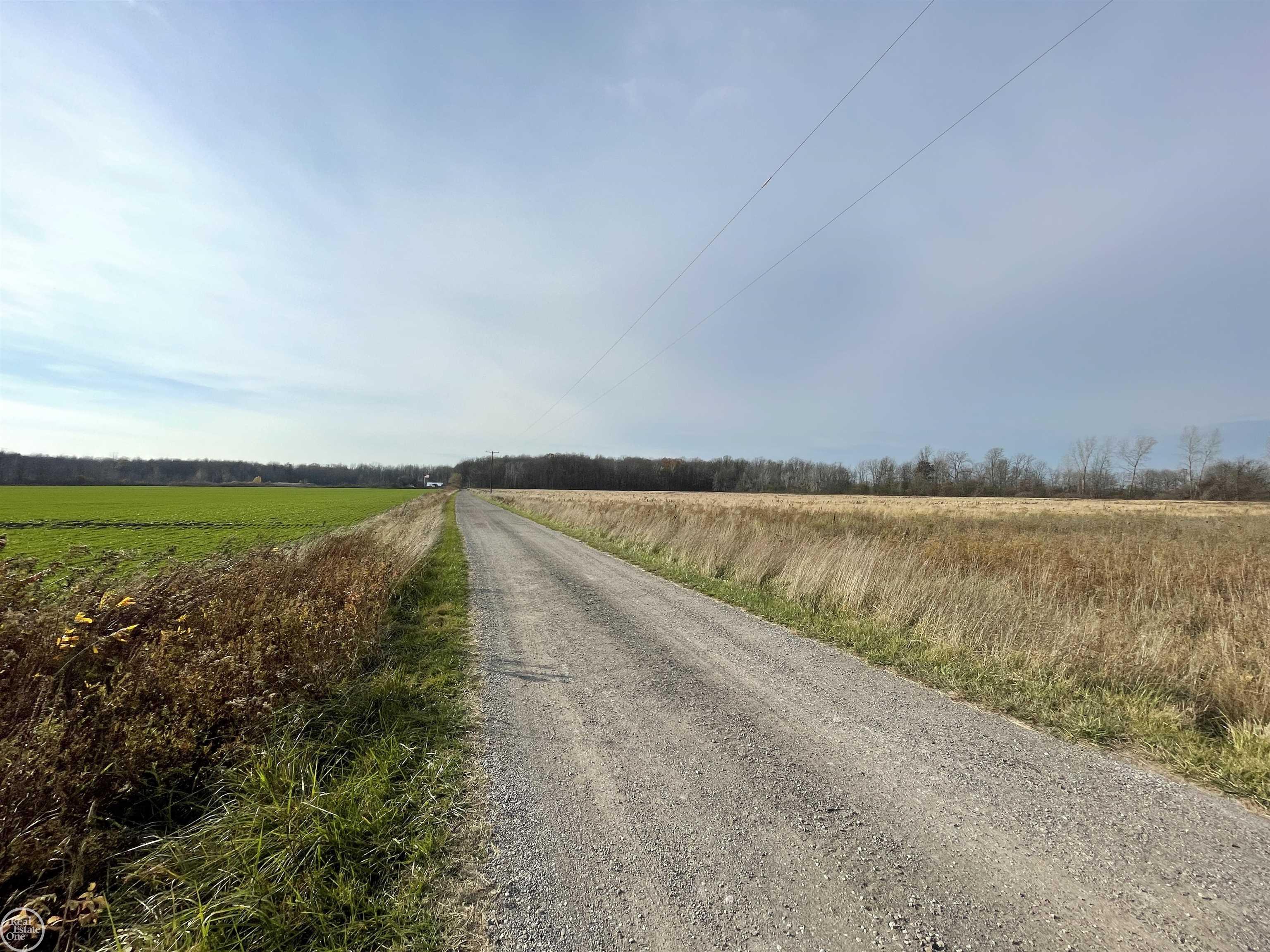 Vl Cribbins Road Avoca, MI 48006 - Photo 2 of 7