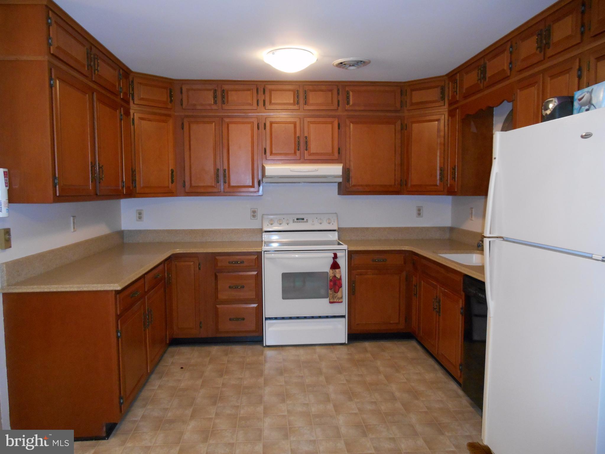 29891 Grasswell Road Easton, MD 21601 - Photo 14 of 29 Kitchen