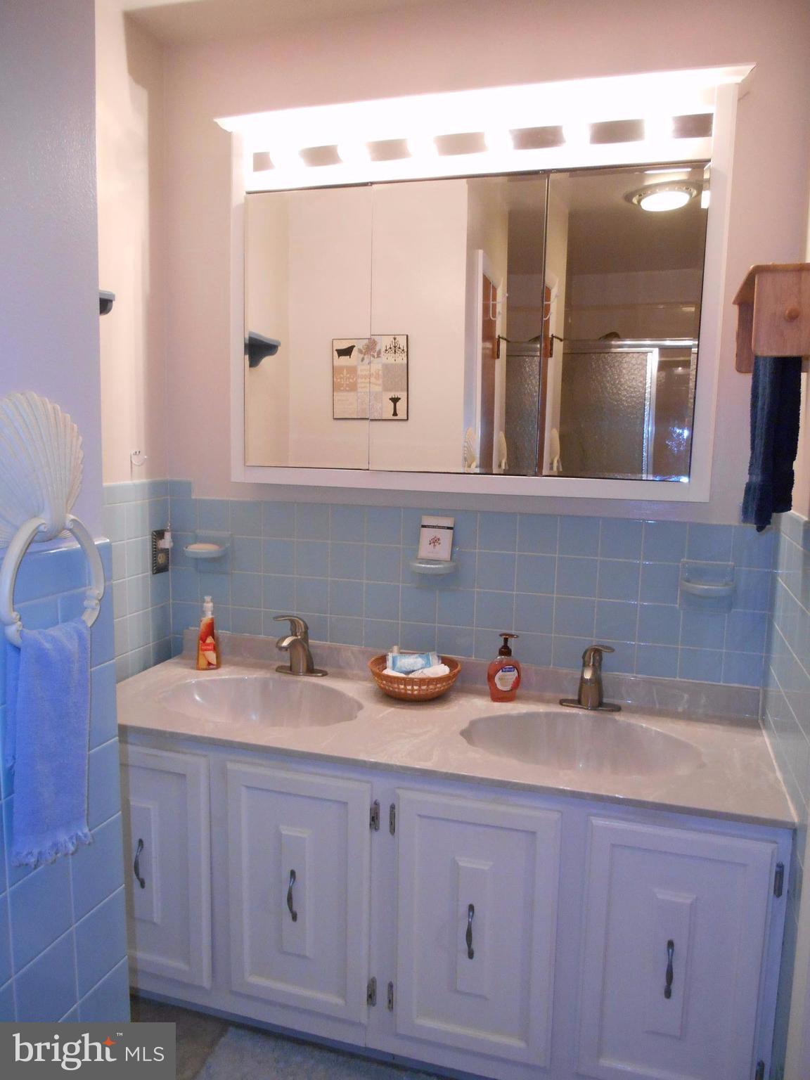 29891 Grasswell Road Easton, MD 21601 - Photo 23 of 29 Bath (Master)