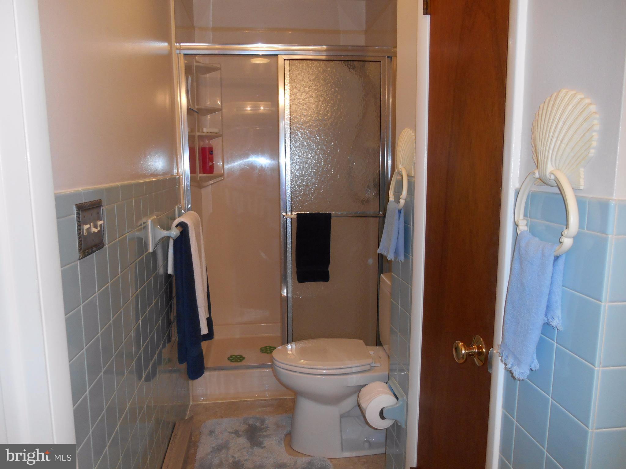 29891 Grasswell Road Easton, MD 21601 - Photo 24 of 29 Bath (Master)