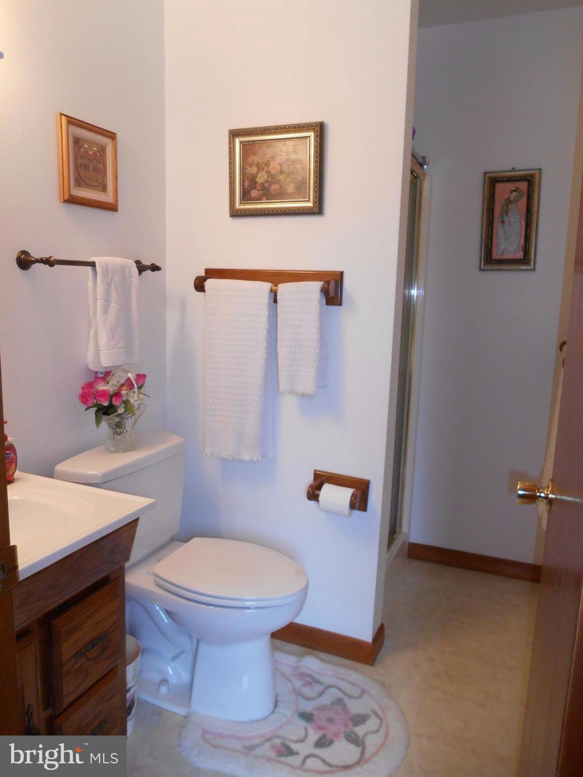 29891 Grasswell Road Easton, MD 21601 - Photo 5 of 29 Full bath in recreation room
