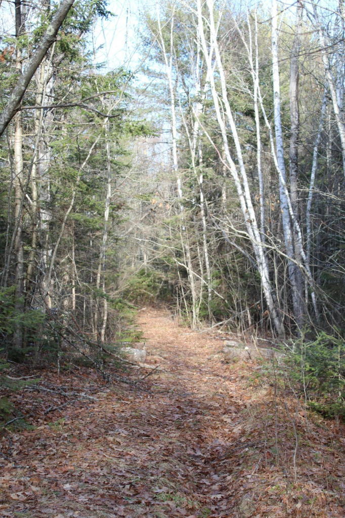 87.2 Birches Road Belfast, ME 04915 - Photo 2 of 3 Birches rd 2