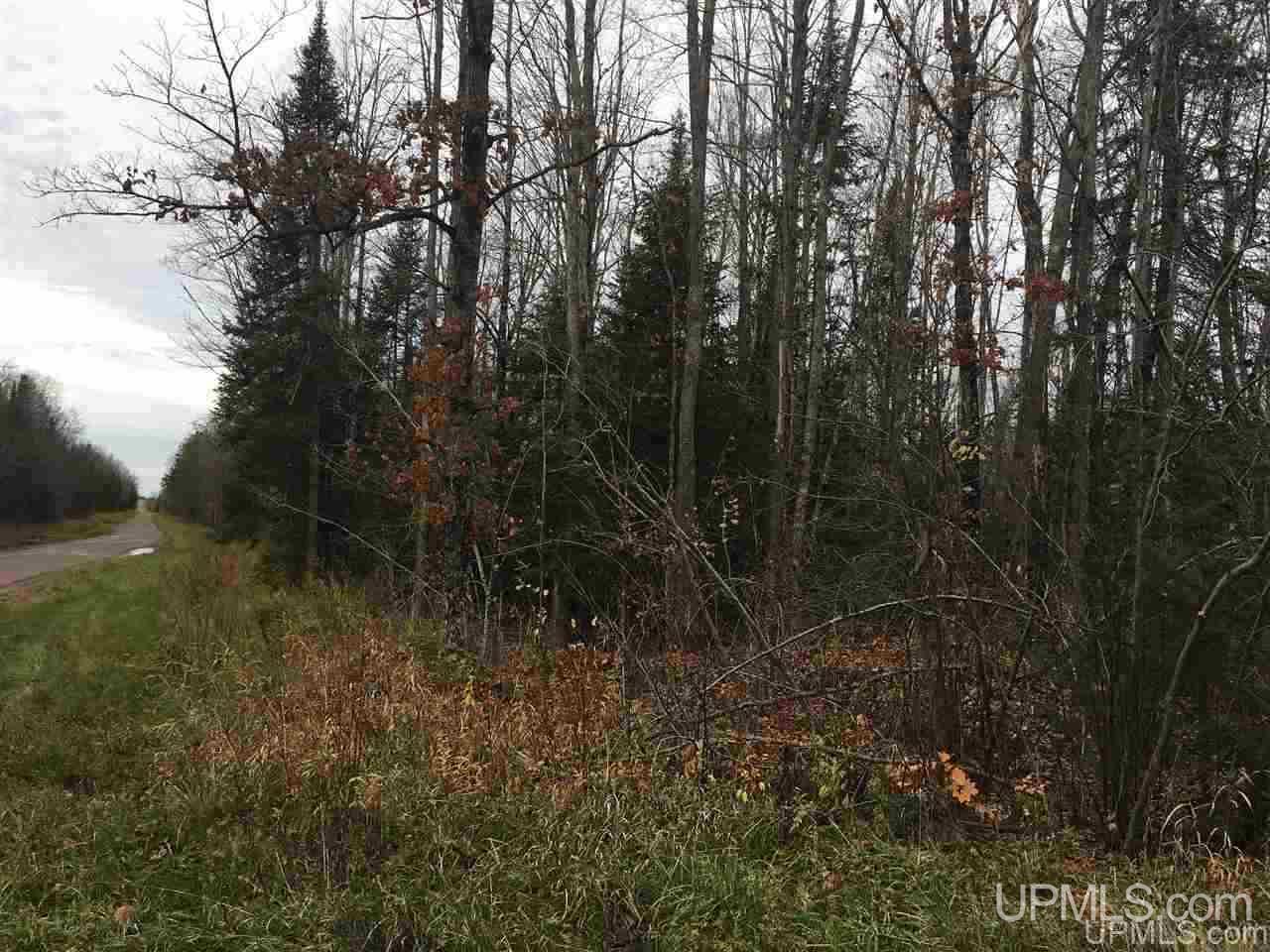 40-acres Off Cadeau Road Baraga, MI 49908 - Photo 17 of 19