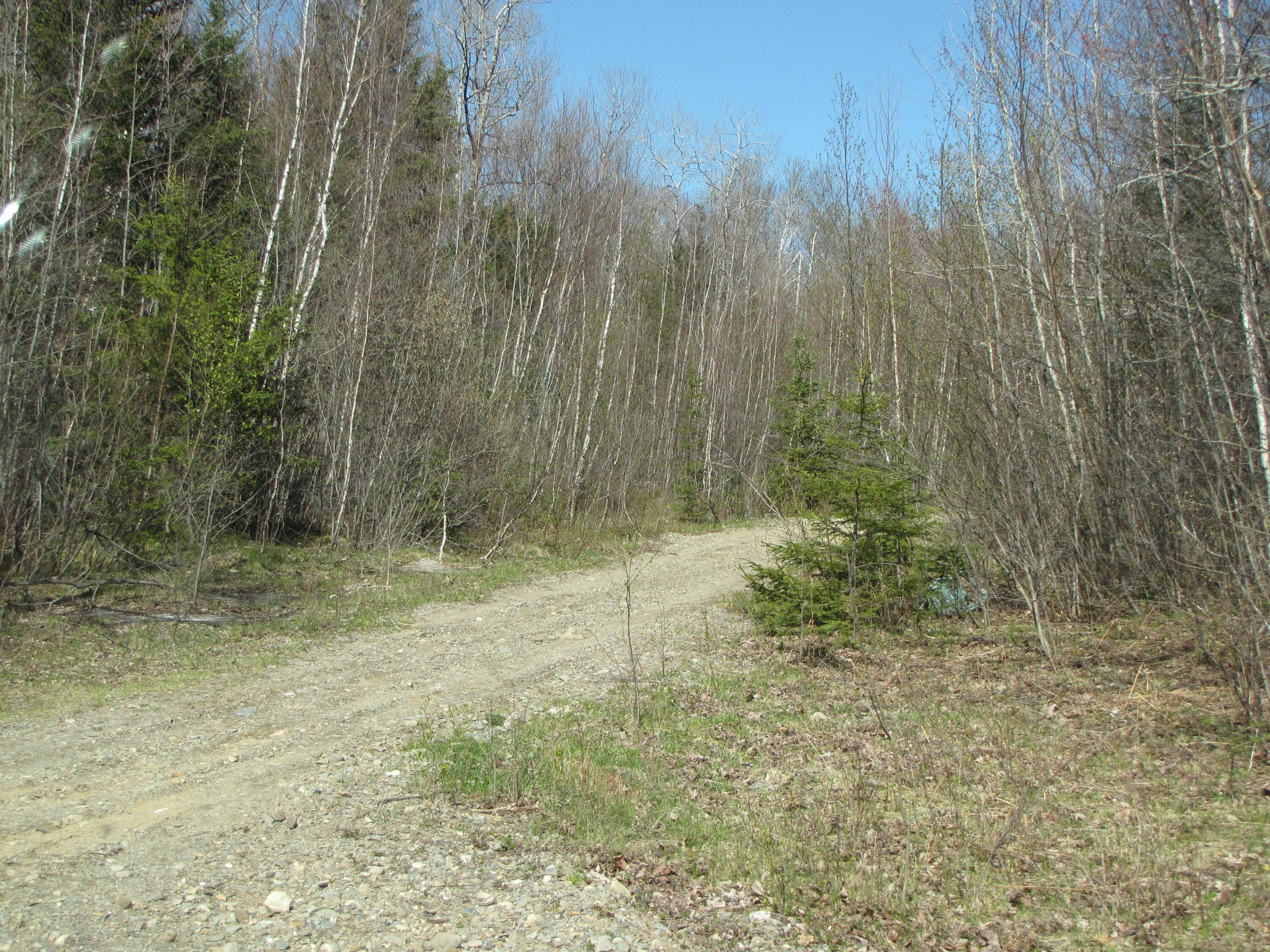 0 South Princeton Road Alexander, ME 04694 - Photo 6 of 9 6