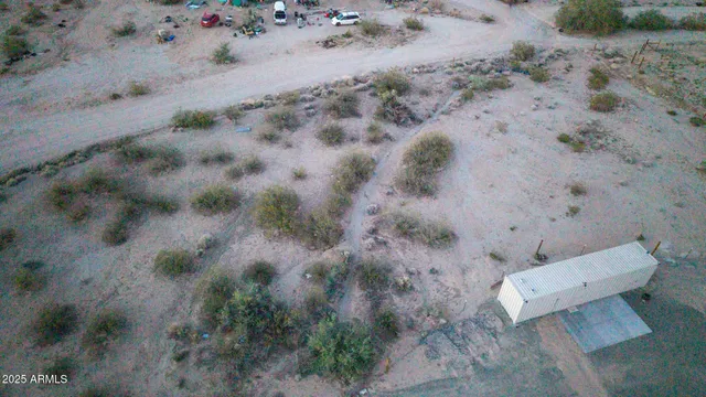 a view of a dry yard with trees and bushes