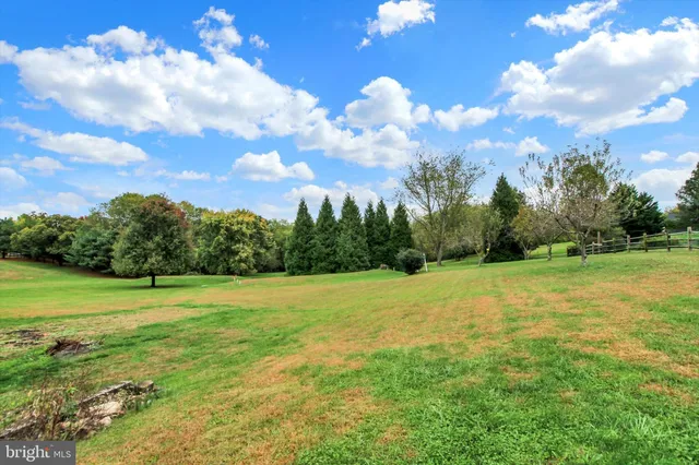 a view of a big yard with lots of green space