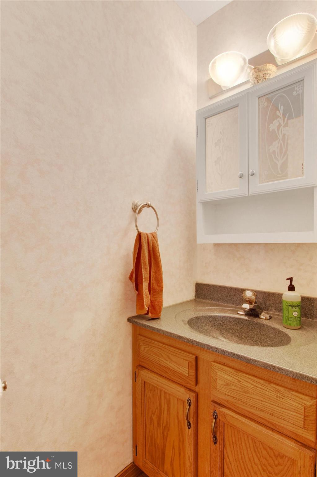 3744 Blue Hill Road Hanover, PA 17331 - Photo 10 of 32 a bathroom with a sink and a mirror
