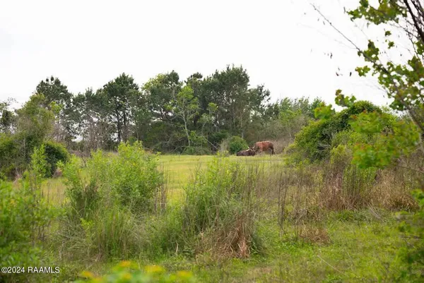 $3,367,420 | Southwest Louisiana Brackish Water Marsh, Cameron, LA 70631