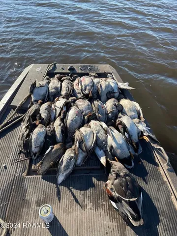 $3,367,420 | Southwest Louisiana Brackish Water Marsh, Cameron, LA 70631