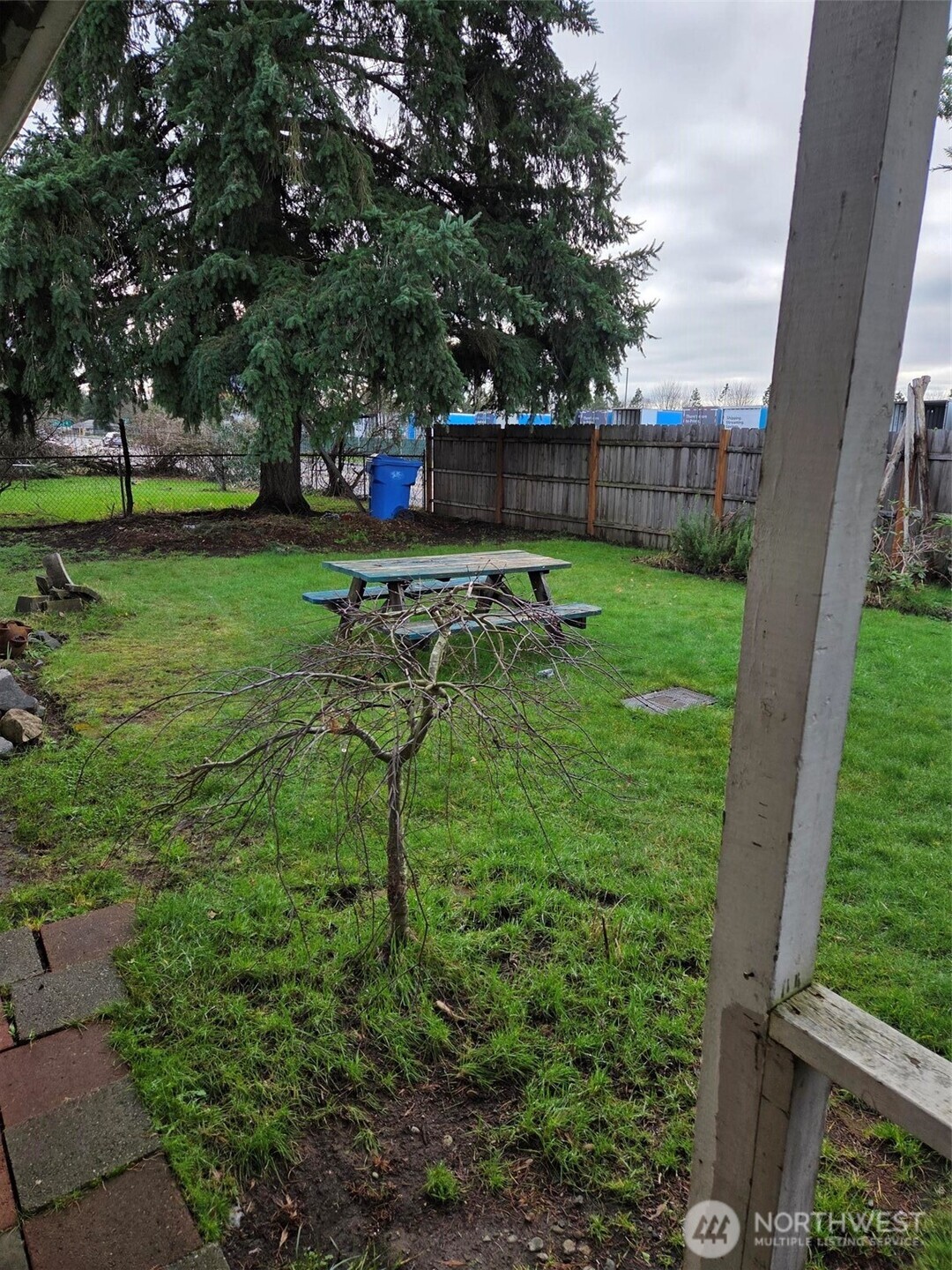 12001 Spanaway Loop Road South Tacoma, WA 98444 - Photo 19 of 20 a backyard of a house with lots of green space