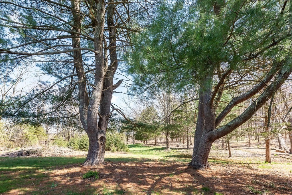 45 Beagle Club Road Attleboro, MA 02703 - Photo 28 of 29 Gallery Image 28