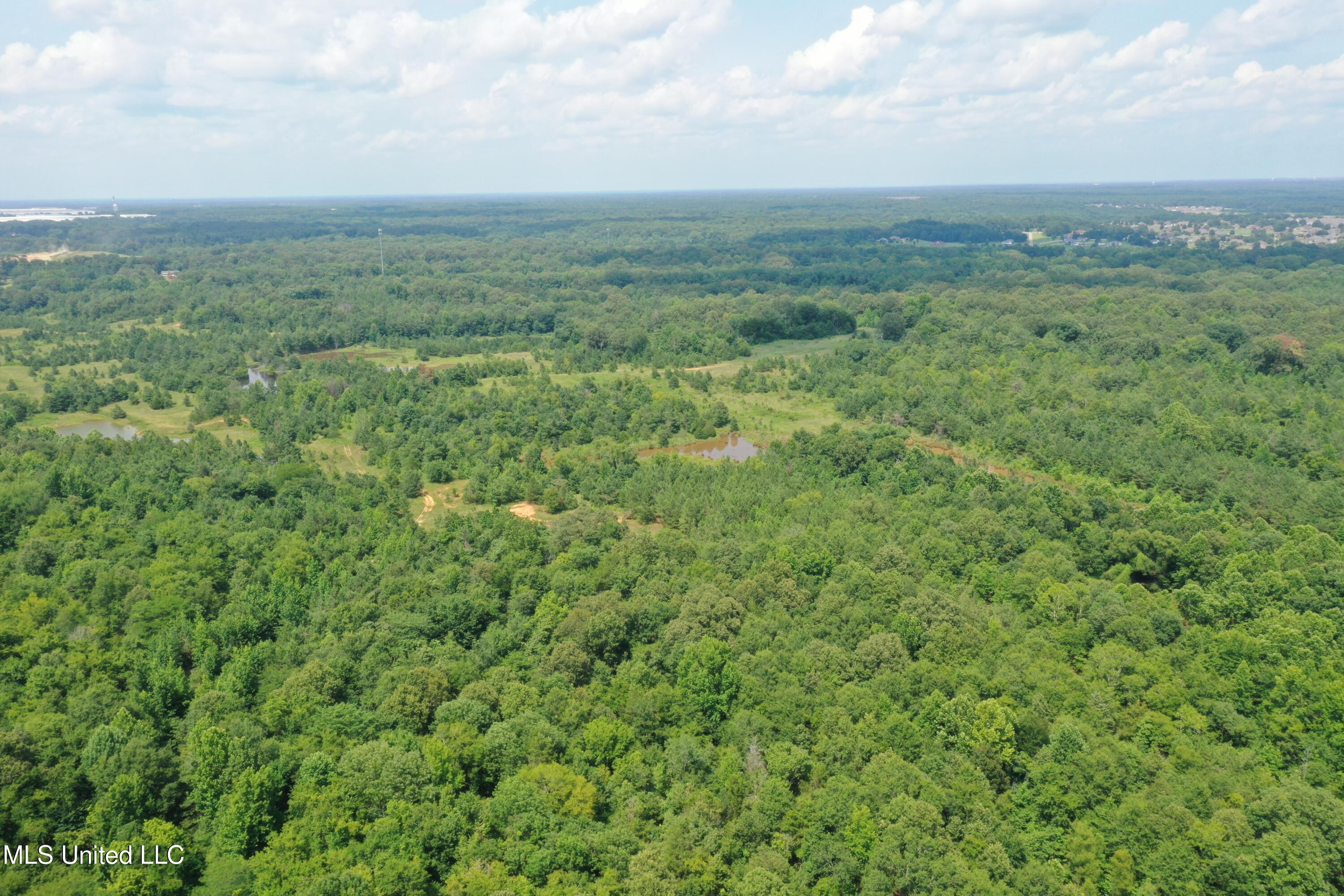 3466 Bethel Road Olive Branch, MS 38654 - Photo 13 of 86 DJI_0198