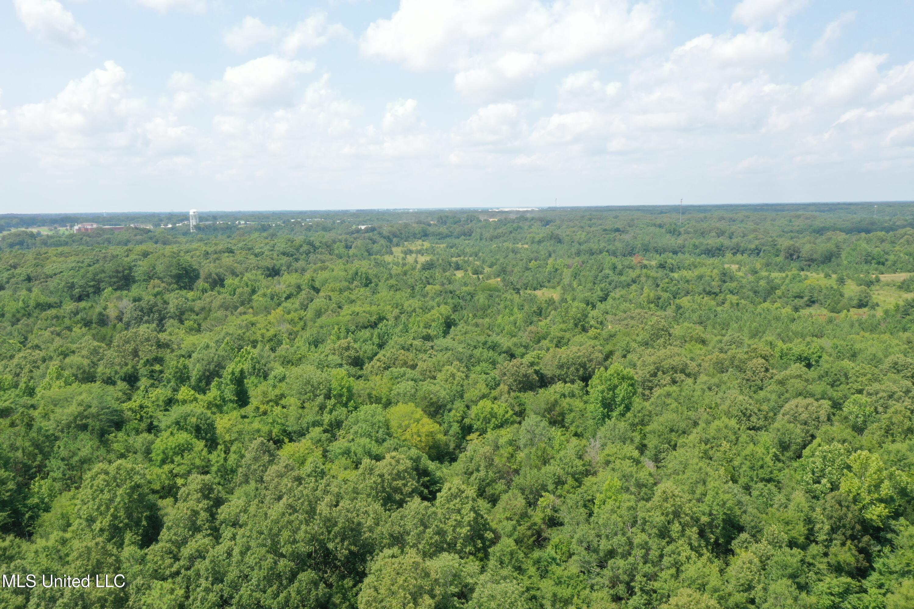 3466 Bethel Road Olive Branch, MS 38654 - Photo 14 of 86 DJI_0199