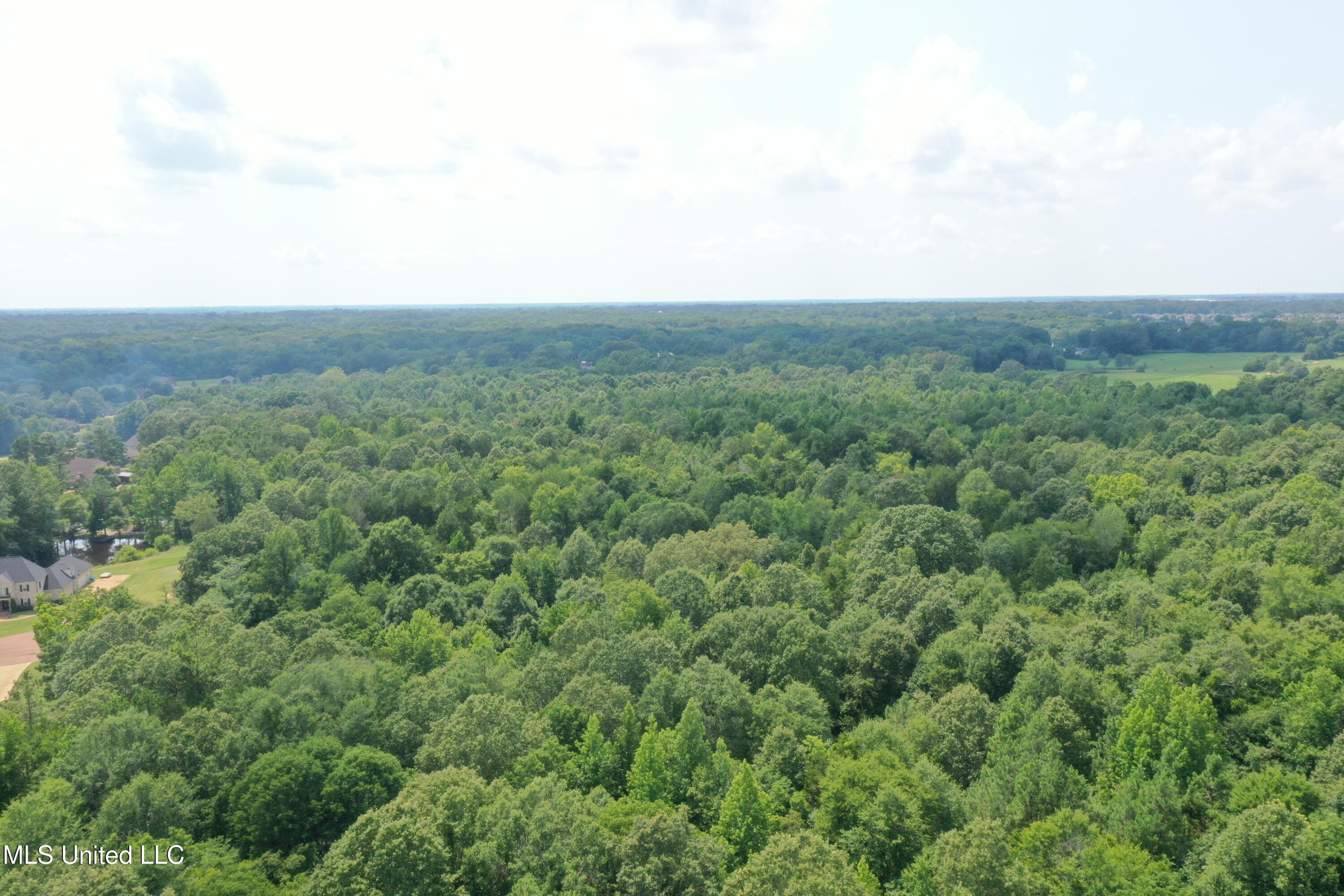 3466 Bethel Road Olive Branch, MS 38654 - Photo 15 of 86 DJI_0200