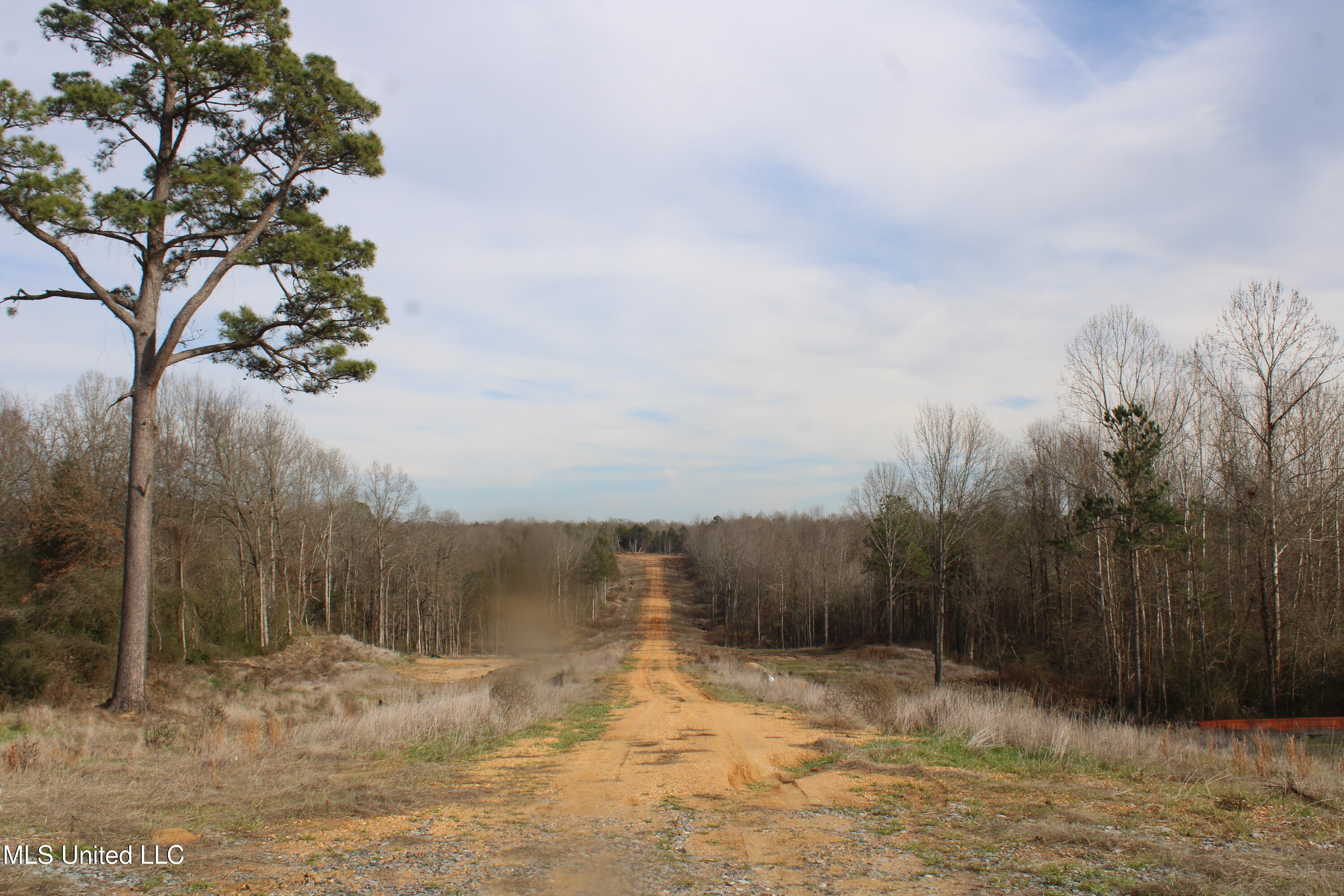 3466 Bethel Road Olive Branch, MS 38654 - Photo 16 of 86 IMG_7106