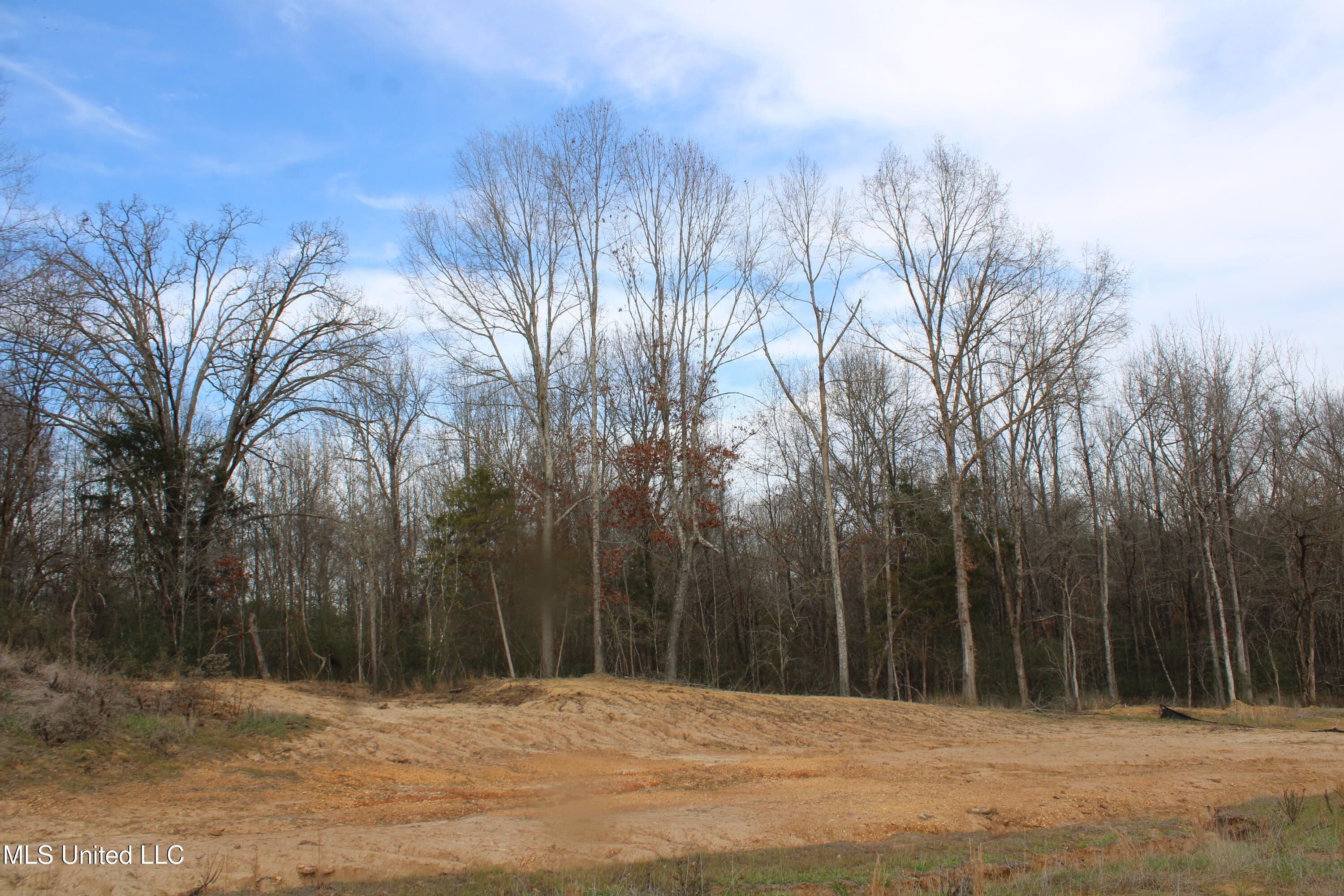 3466 Bethel Road Olive Branch, MS 38654 - Photo 18 of 86 IMG_7108