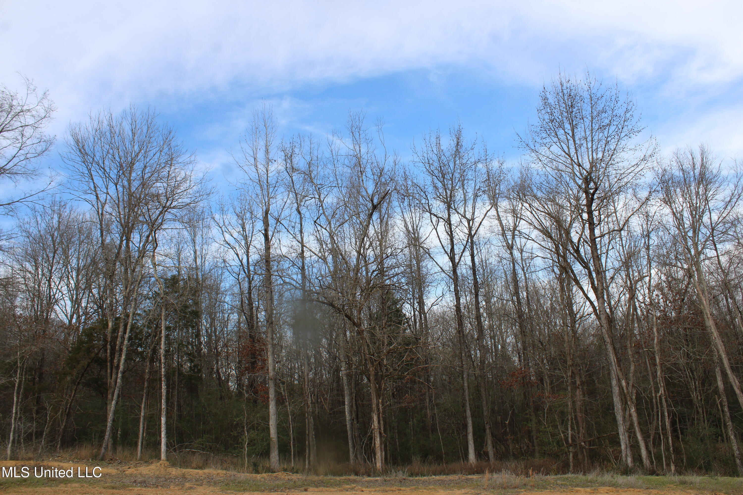 3466 Bethel Road Olive Branch, MS 38654 - Photo 19 of 86 IMG_7109