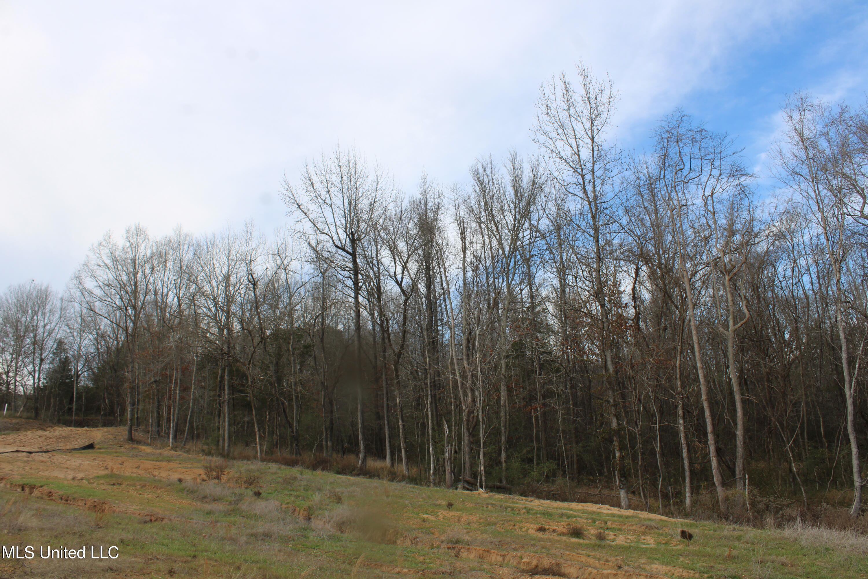 3466 Bethel Road Olive Branch, MS 38654 - Photo 20 of 86 IMG_7110