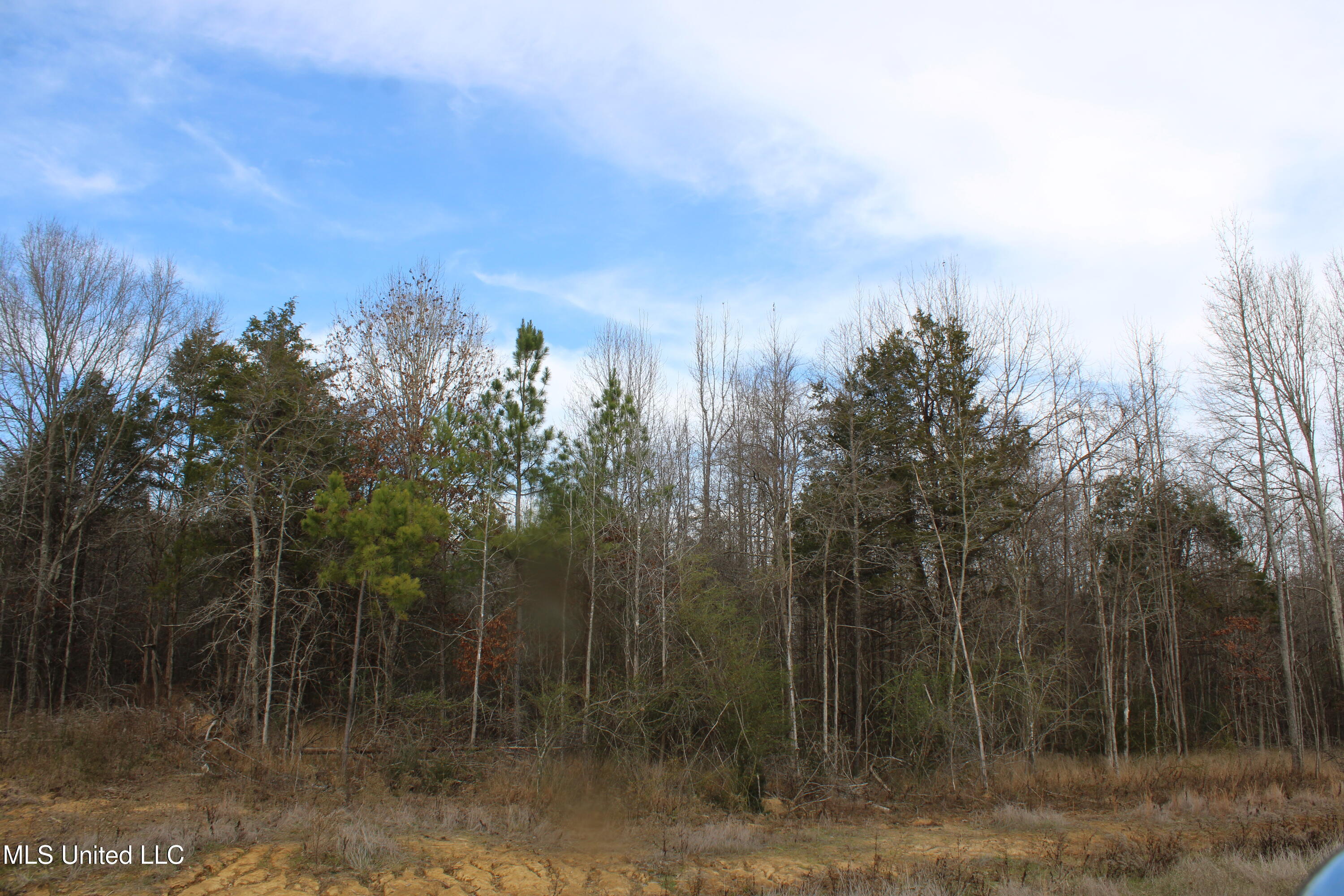 3466 Bethel Road Olive Branch, MS 38654 - Photo 21 of 86 IMG_7111