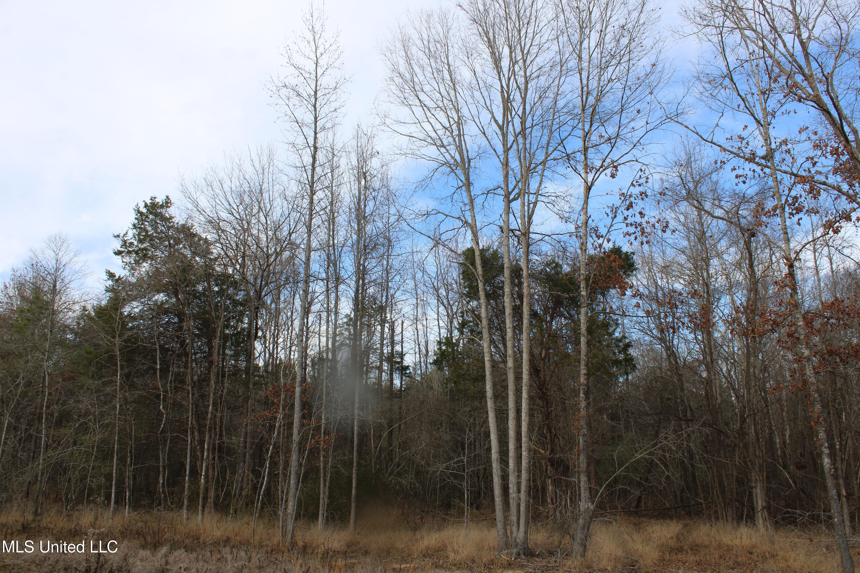 3466 Bethel Road Olive Branch, MS 38654 - Photo 22 of 86 IMG_7112