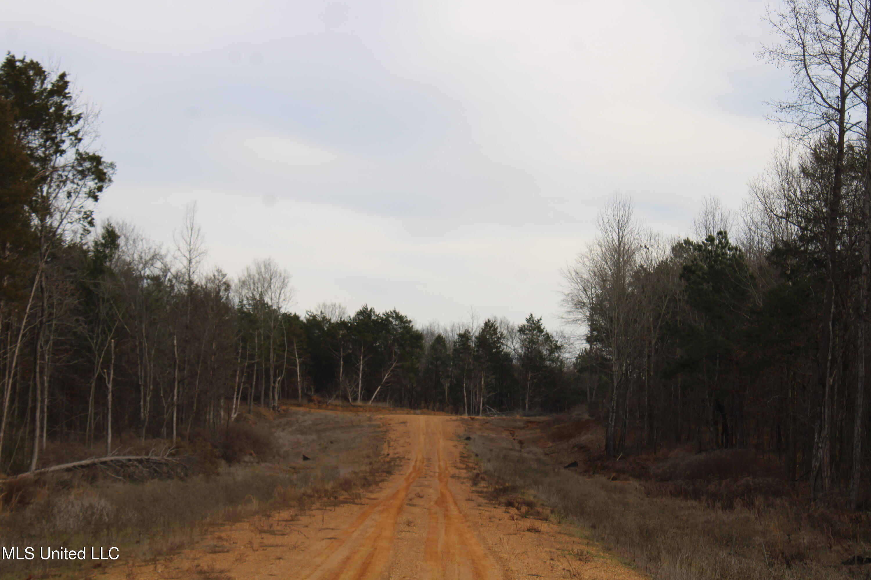 3466 Bethel Road Olive Branch, MS 38654 - Photo 23 of 86 IMG_7113