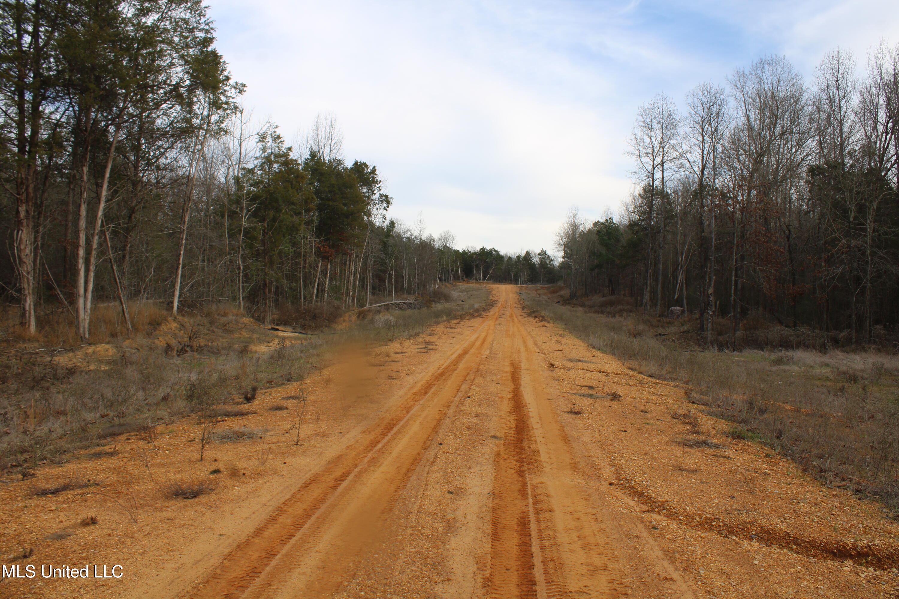 3466 Bethel Road Olive Branch, MS 38654 - Photo 25 of 86 IMG_7115