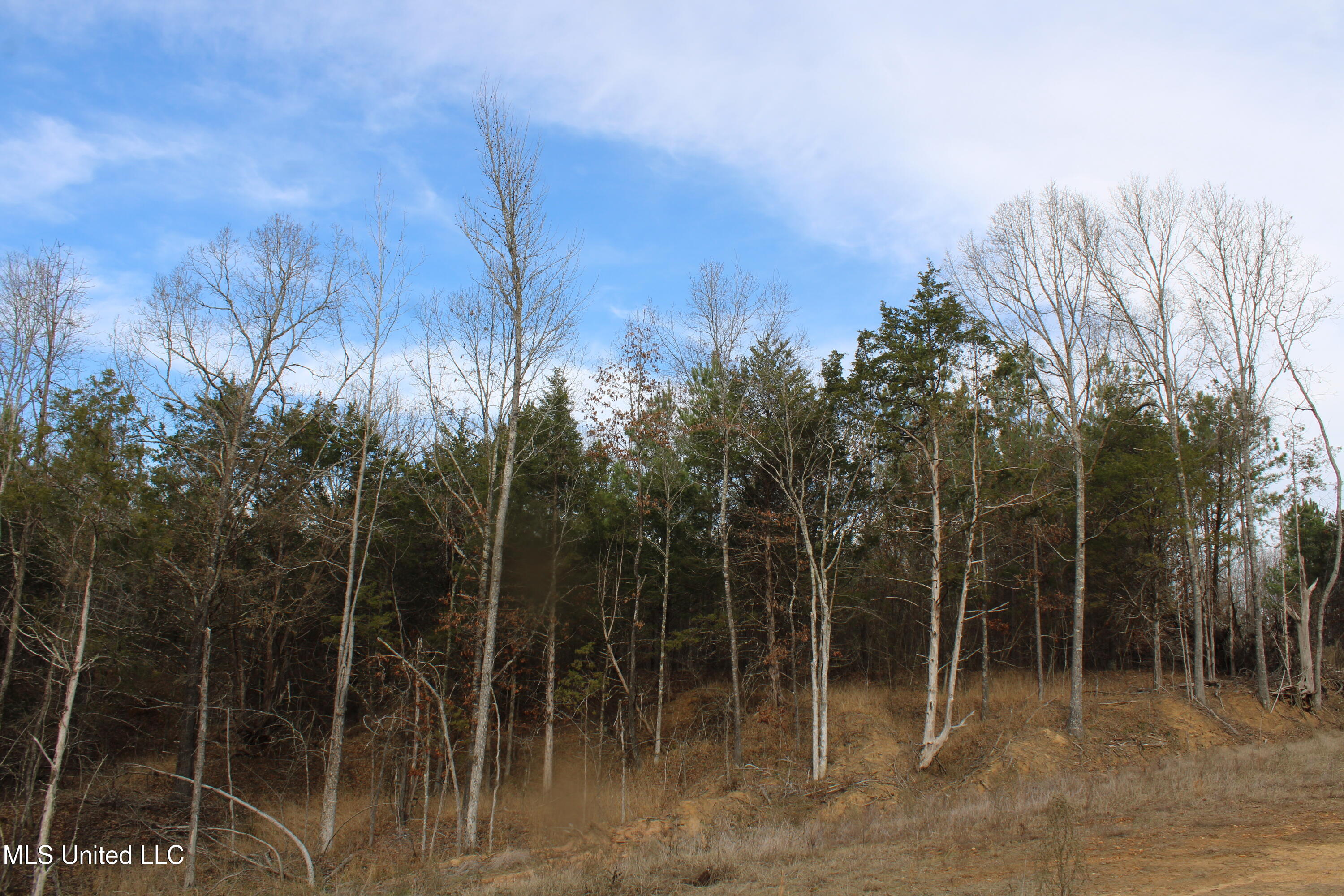 3466 Bethel Road Olive Branch, MS 38654 - Photo 26 of 86 IMG_7116