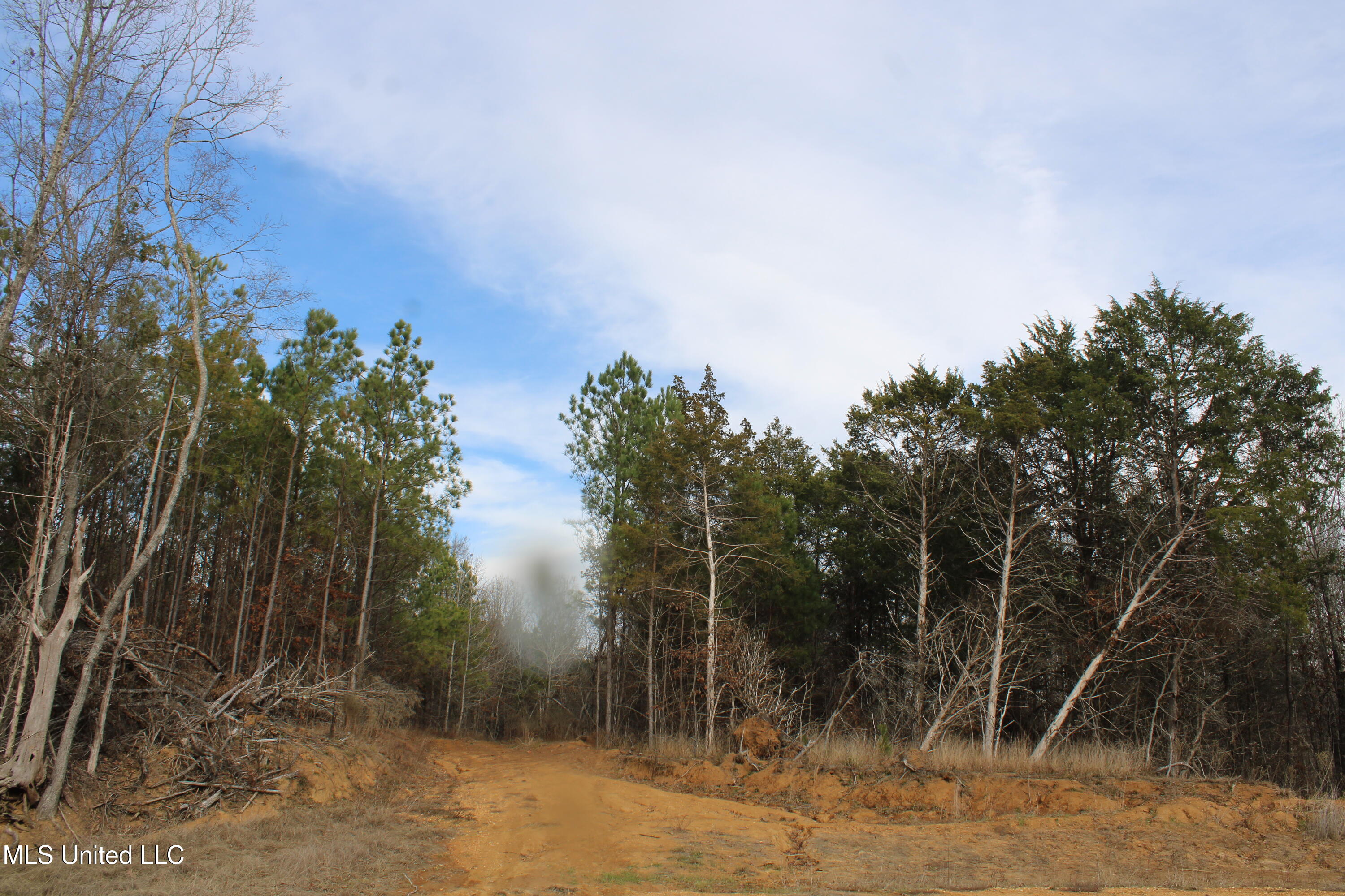 3466 Bethel Road Olive Branch, MS 38654 - Photo 27 of 86 IMG_7117